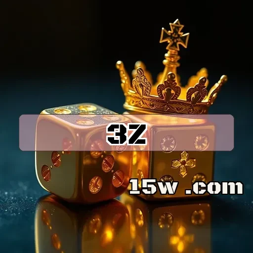 3z.com e Seu Suporte 24/7: O Que Você Precisa Saber